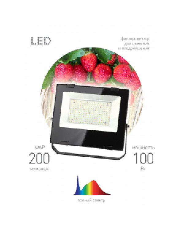 FITO-100W-Ra90-LED ЭРА ФИТО прожектор для цветения и плодоношения (10/200), FITO-100W-Ra90-LED