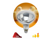 Инфракрасная лампа ЭРА ИКЗ 220-250 R127 для обогрева животных 220-250 Вт Е27