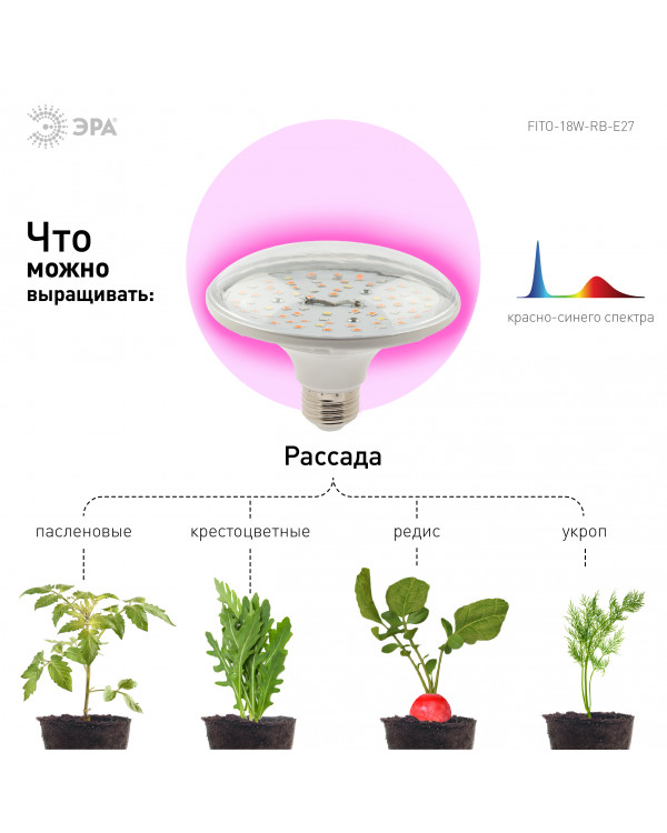 Фитолампа для растений светодиодная ЭРА FITO-18W-RB-E27 красно-синего спектра 18 ВТ Е27