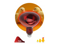 Инфракрасная лампа ЭРА ИКЗК 230-150 R127 для обогрева животных 150 Вт Е27