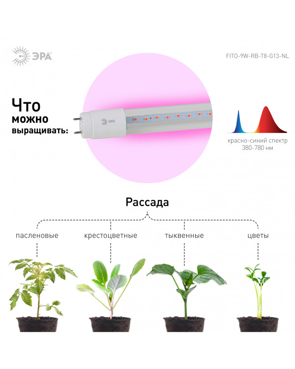 Фитолампа для растений светодиодная ЭРА FITO-9W-RB-Т8-G13-NL красно-синего спектра 9 Вт Т8 G13