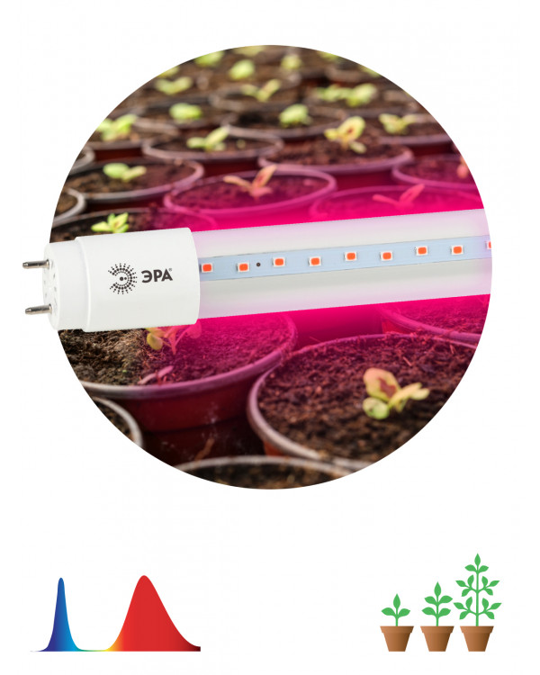 Фитолампа для растений светодиодная ЭРА FITO-9W-RB-Т8-G13-NL красно-синего спектра 9 Вт Т8 G13