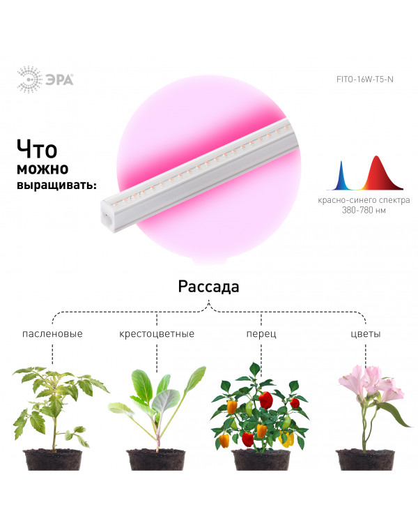 Светильник для растений, фитолампа светодиодная линейная ЭРА FITO-16W-Т5-N красно-синего спектра 16 Вт Т5