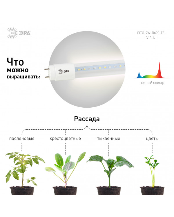 Фитолампа для растений светодиодная ЭРА FITO-9W-Ra90-Т8-G13-NL полного спектра 9 Вт Т8 G13
